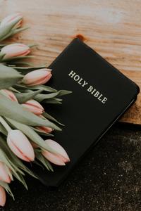 Learning from Holy Scriptures bible wallpaper