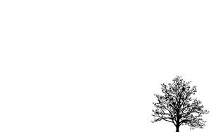 Let the white aesthetic in your life fill it with joy white aesthetic wallpaper