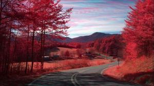 Let's enjoy the beautiful fall season! fall aesthetic wallpaper