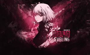 Level Up With Jinwoo in Solo Leveling solo leveling wallpaper