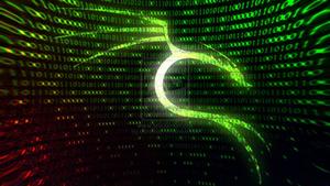 Leverage the Power of Hacking with Kali Linux hacker wallpaper