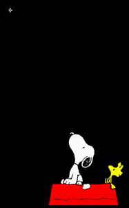 Life with Snoopy is always an adventure! snoopy wallpaper