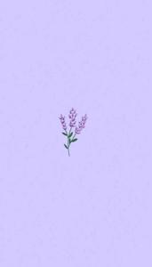 Light Purple Aesthetic Lavender Flower light purple aesthetic wallpaper