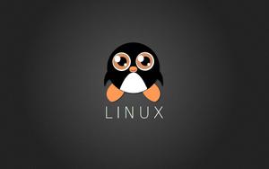 Linux Cute Cartoon Penguin linux wallpaper