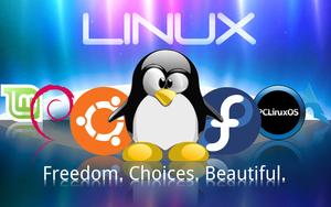 linux - freedom, choices, beautiful linux wallpaper