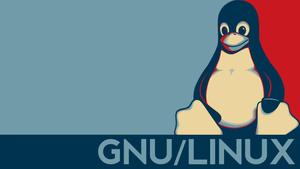 Linux is the key to a successful digital ecosystem linux wallpaper