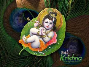 Little Krishna In Green Leaf little krishna wallpaper