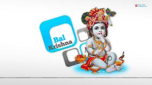Little Krishna In White little krishna wallpaper