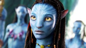 Live a beautiful life. avatar wallpaper