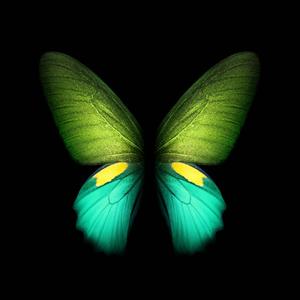 Live Stylish Butterfly live wallpaper