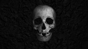 Live Your Life to the Fullest skull wallpaper