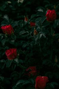 Lock Screen background lock screen wallpaper