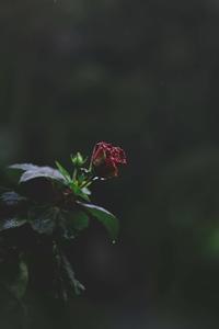 Lock Screen background lock screen wallpaper
