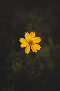 Lock Screen background lock screen wallpaper