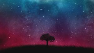 Lone Tree In A Starry Night sky wallpaper