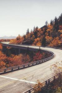 Long Bridge Nature View Fall IPhone fall iphone wallpaper