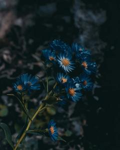 Looking out into the horizon blue aesthetic wallpaper