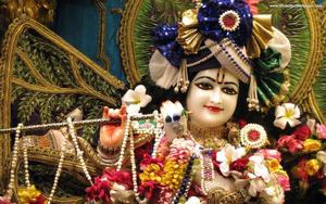Lord Krishna Depiction In ISKCON Temple iskcon wallpaper