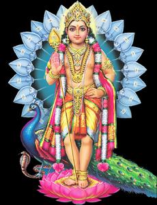 Lord Murugan, God of War Wallpaper