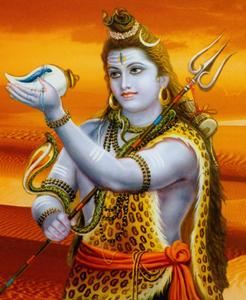 Lord Shiva Shell lord shiva wallpaper