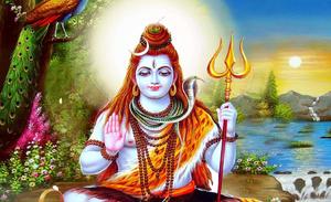 lord shiva sitting on the ground with a bird lord shiva wallpaper