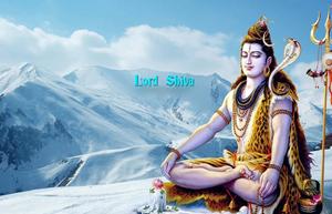 lord shiva sitting on top of a mountain lord shiva wallpaper