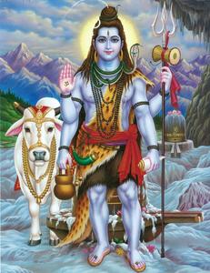 lord shiva with cow and a horn lord shiva wallpaper