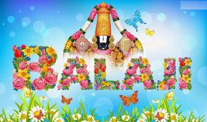 Lord Venkateswara Balaji Flowers lord venkateswara wallpaper