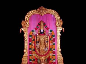 Lord Venkateswara Pink Curtain lord venkateswara wallpaper
