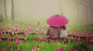 Love is beautiful and blossoms in its own time romantic love wallpaper