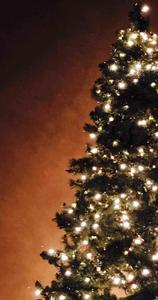 Luminous Pine Christmas Tree IPhone christmas iphone wallpaper