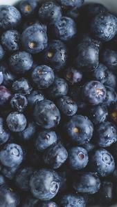 Macro Blueberries Oppo A5s oppo a5s wallpaper