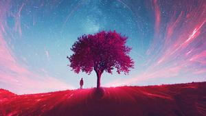 Magnificent sunset in the middle of a vast prairie Wallpaper