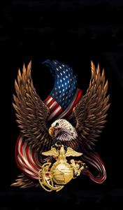 Majestic Eagle iPhone Wallpaper eagle iphone wallpaper