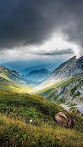 Majestic Mountain Sunrise Home Screen home screen wallpaper