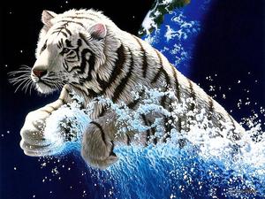 Majestic White Tiger stands atop a rock animated wallpaper