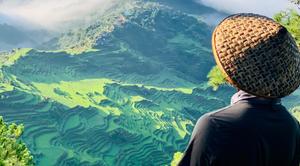 Man Facing Rice Terraces Nature Picture nature wallpaper