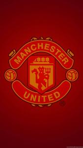 Manchester United Football Club Android manchester united wallpaper