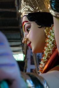 Mata Rani Side-Profile mata rani wallpaper