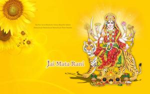Mata Rani Sunflower Background mata rani wallpaper