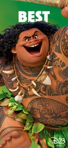 Matching BFF Maui And Moana matching bff wallpaper