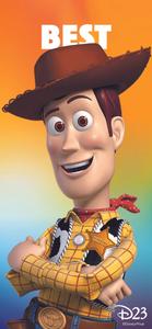 Matching BFF Woody And Buzz matching bff wallpaper
