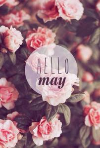 May Flowers Painting may wallpaper