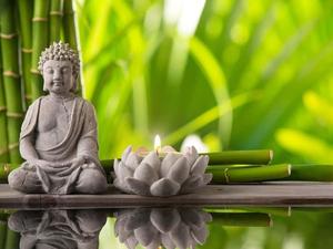 Meditating next to a tranquil lake, the ancient wisdom of an enlightened Buddha. buddha wallpaper