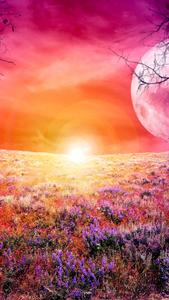 Mesmerizing Pink Sunset on your Phone in Vibrant 4K colorful 4k phone wallpaper