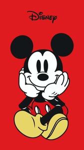 Mickey Mouse showing off his iconic silhouette mickey mouse wallpaper