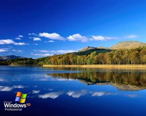 Microsoft honors the iconic Windows XP default computer background windows xp wallpaper