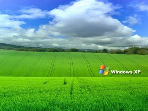 Microsoft Windows XP Desktop windows xp wallpaper