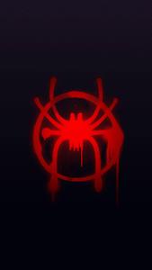 Miles Morales and the web of Spider-Man miles morales wallpaper
