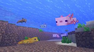 Minecraft Axolotls Underwater axolotl wallpaper